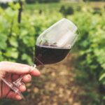 vino senza solfiti e bassa gradazione