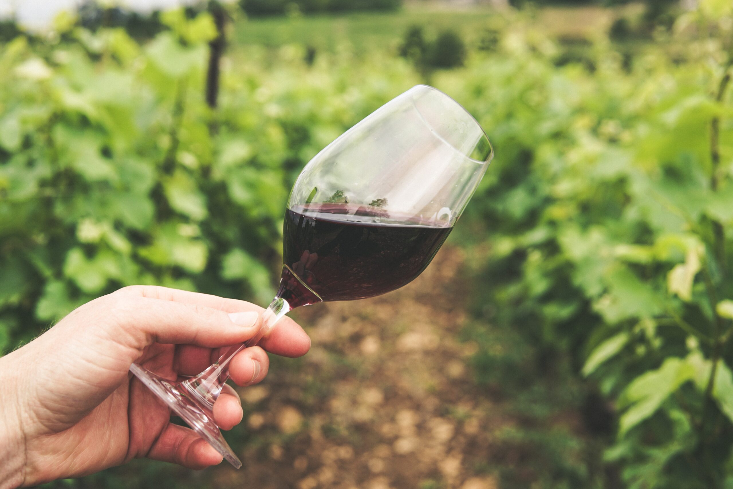 vino senza solfiti e bassa gradazione