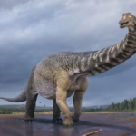 paleontologi-australiani-scoprono-un-nuovo-dinosauro-gigante-e-lo-chiamano-cooper
