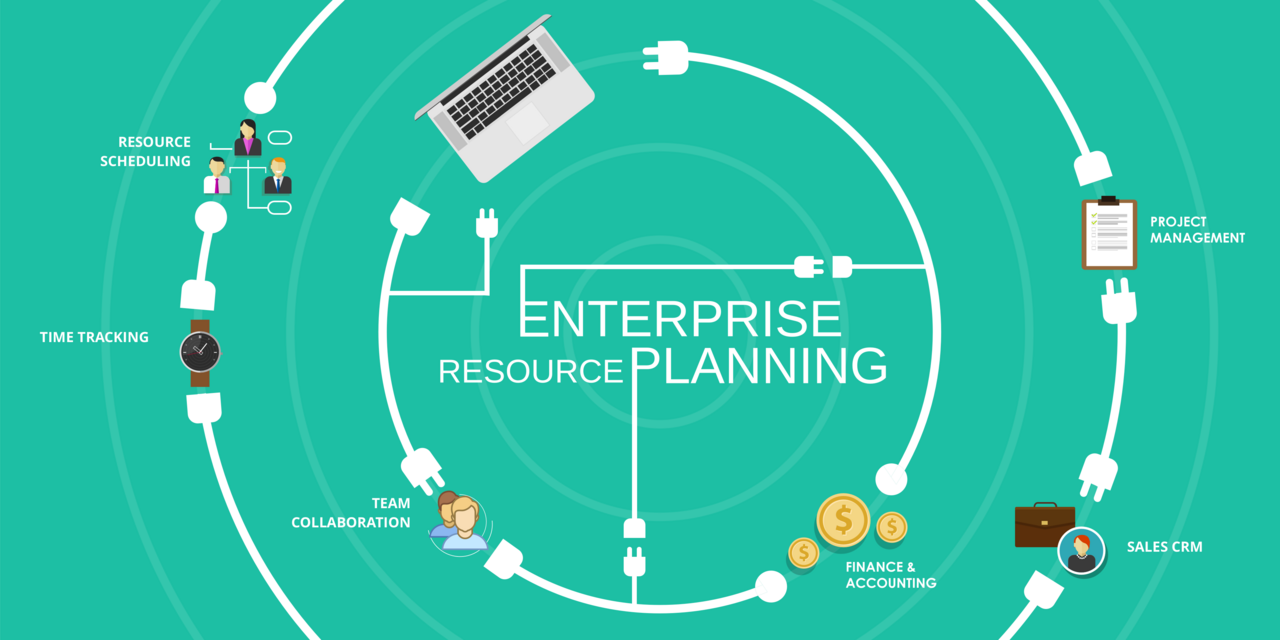 ERP (Enterprise Resource Planning