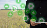 Digitale e agricoltura: