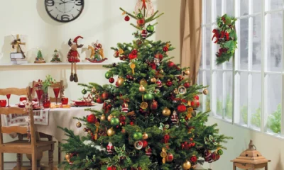 albero di Natale vero